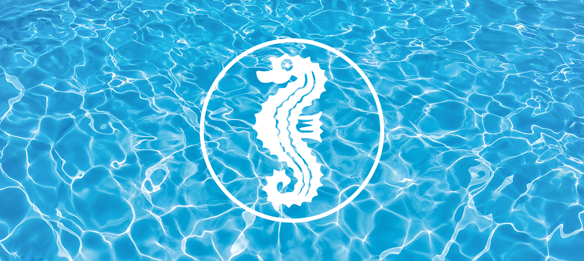 Schwimmkurse Kindergarten und Schulkurse