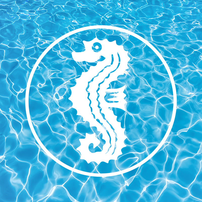 TOP SWIM - Schwimmschule Abzeichen